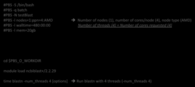 How to work with it Run Jobs Example 2: Threaded job script running NCBI Blast + with 4 threads #PBS -S /bin/bash #PBS -q batch #PBS -N testblast #PBS -l nodes=1:ppn=4:amd Number of nodes (1), number