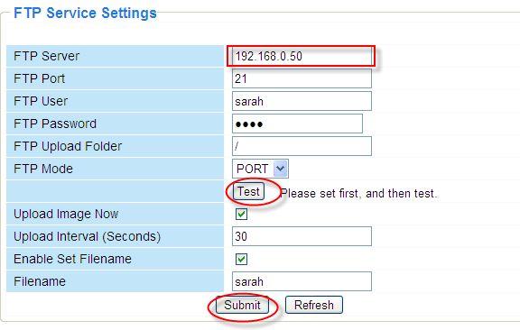 Figure 3.29 Figure 3.30 FTP server: If your FTP server is located on the LAN, you can set as Figure 3.29. If you have an FTP server which you can access on the internet, you can set as Figure 3.30. FTP Port: Usually the port is 21.