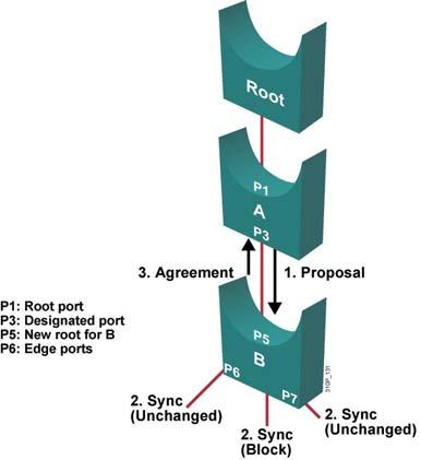 Downstream RSTP Proposal and Agreement RSTP Topology Change Mechanism Root and switch A synchronize.