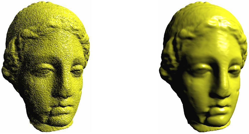 Results Venus head model