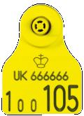 00 Electronic Cattle Tags Combi E30 - Flag or Button