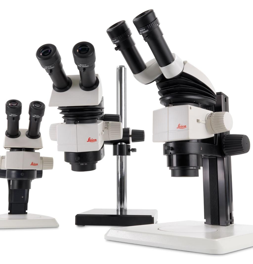 Routine microscopy: the