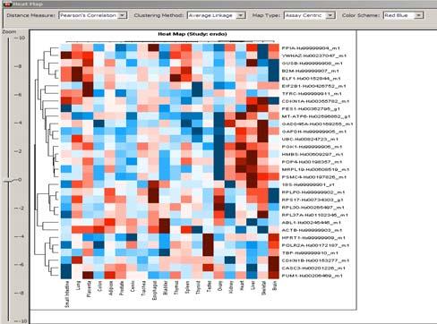 Cluster Analysis Heat Map: Graphically displays results of hierarchical clustering.
