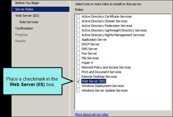 In the Select Server Roles page, place a check mark in the Web Server (IIS) box.