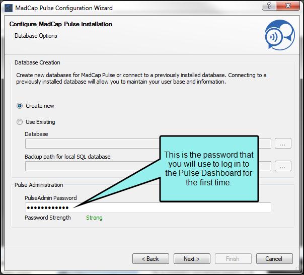 8. In the PulseAdmin Password box, specify the password for the default Pulse Administrator account. Then click Next.