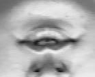 AU5 AU6 AU7 Upper eyelids are raised Cheeks are raised and eye opening is narrowed Lower eyelids are