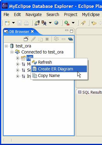 Figure 2. Creating an entity-relation diagram from a database 4. From the New ER Diagram File Wizard, select the project and specify the name of the new ER diagram file.