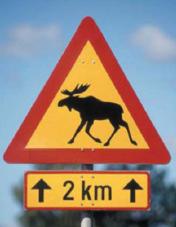 You Try: Find the missing variables: Some Real-World Situations The moose warning sign below is an equilateral triangle. It is one meter high. Find the lengths of each of the sides.