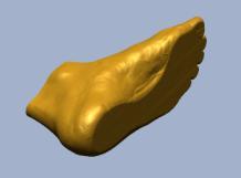 Support mass customization of foot orthoses for