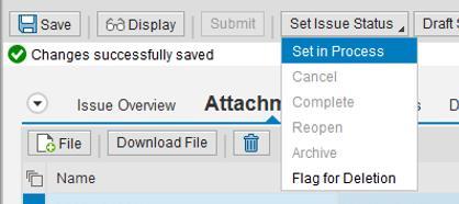 Click Issue Overview to navigate back to the Issue Overview tab 21. Click Set Issue Status.
