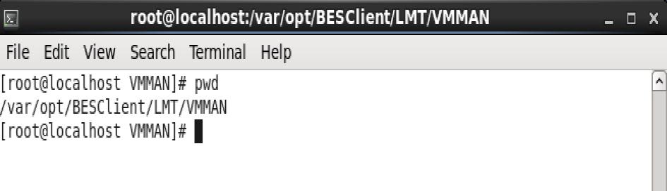 Checking relevance Common files and locations evaluated by relevance conditions of the VM Managers category fixlets: BigFix client location, e.g. - C:\Program Files (x86)\bigfix Enterprise\BES Client\ - /var/opt/besclient/lmt/cit ILMT/BFI VM Manager tool folder under BigFix client directory, e.