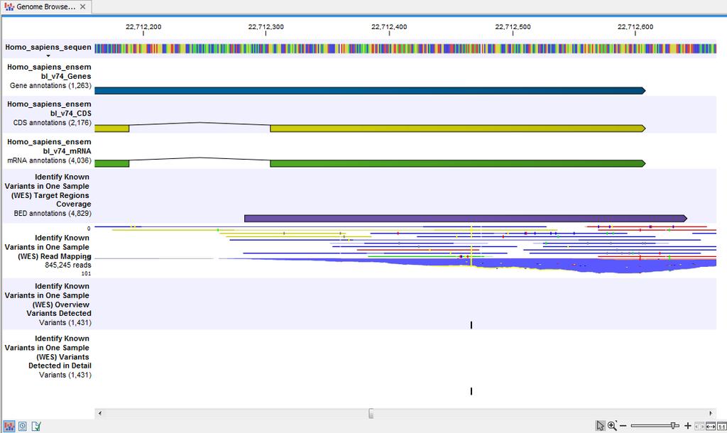 CHAPTER 6. WHOLE EXOME SEQUENCING (WES) 110 Figure 6.13: Genome Browser View that allows inspection of the identified variants in the context of the human genome and external databases.