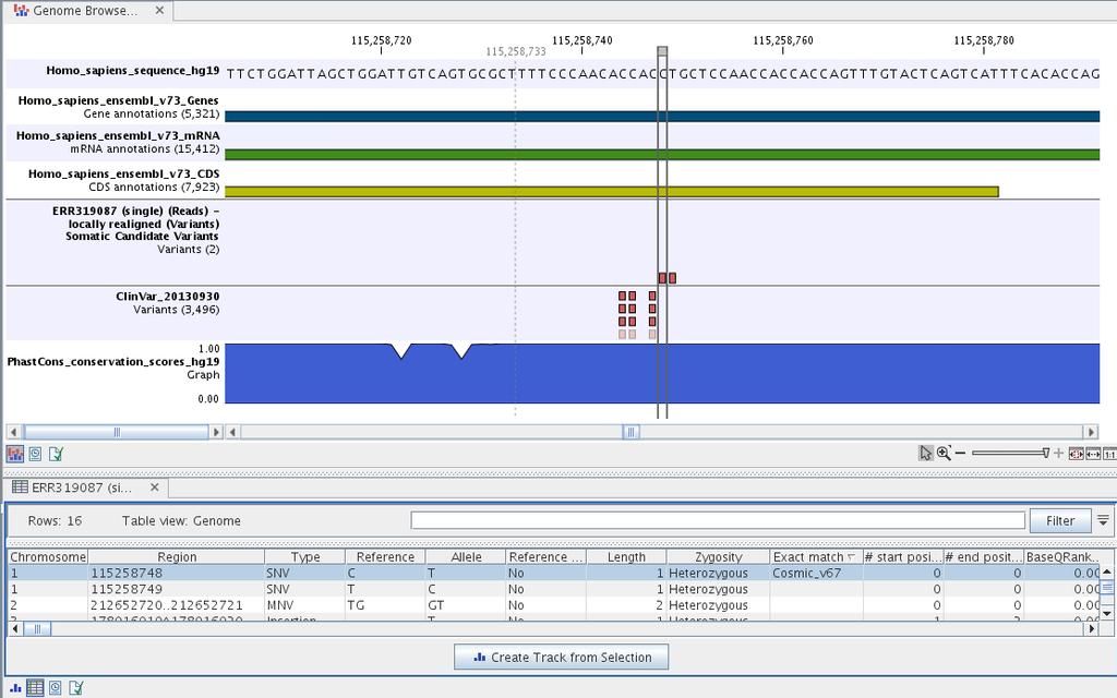 CHAPTER 6. WHOLE EXOME SEQUENCING (WES) 115 Figure 6.21: The Genome Browser View showing the annotated somatic variants together with a range of other tracks. and the variants identified.