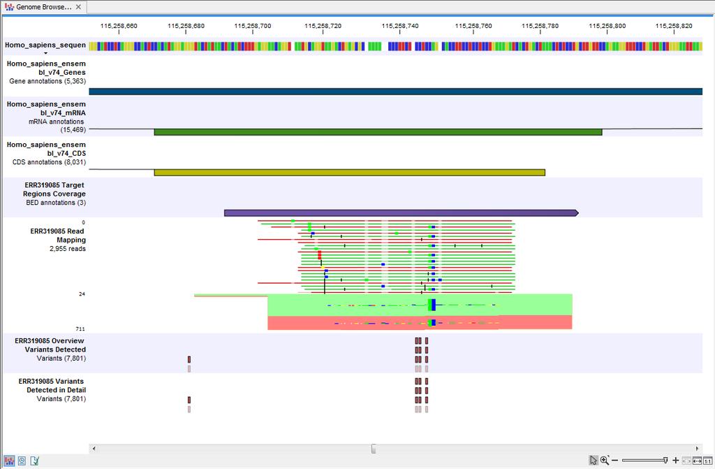 CHAPTER 7. TARGETED AMPLICON SEQUENCING (TAS) 167 Figure 7.13: Genome Browser View that allows inspection of the identified variants in the context of the human genome and external databases.