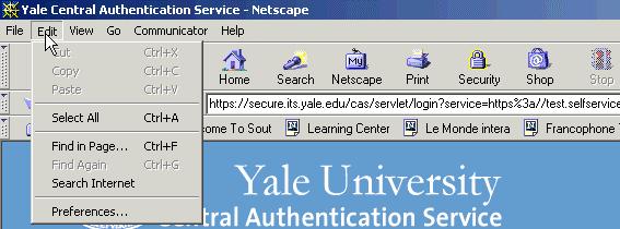 Browser Settings Netscape 4.