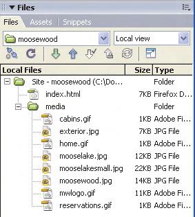 When you are done, your local folder list will look similar to the example shown in Figure T2.