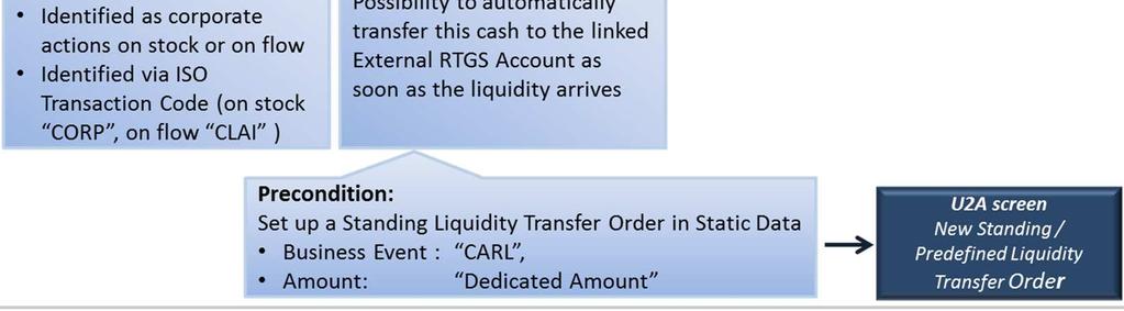 Dedicated Cash Account to an RTGS account.