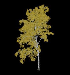 with a very complex organic mesh like this tree.
