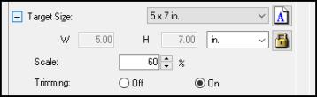 6. To use additional sizing tools, click the + (Windows) or (OS X) icon next to the Target Size setting and select options as desired.