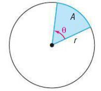 AREA OF A CIRCULAR SECTOR We can find the area of the slice of pie or sector with a central angle θ using proportions.