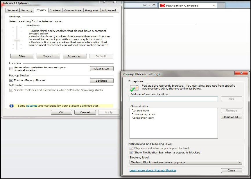 Internet Explorer Settings Figure 3. Internet Options- Popup Blocker Settings 12. Click Settings. The Pop-up Blocker Settings window is displayed. 13.
