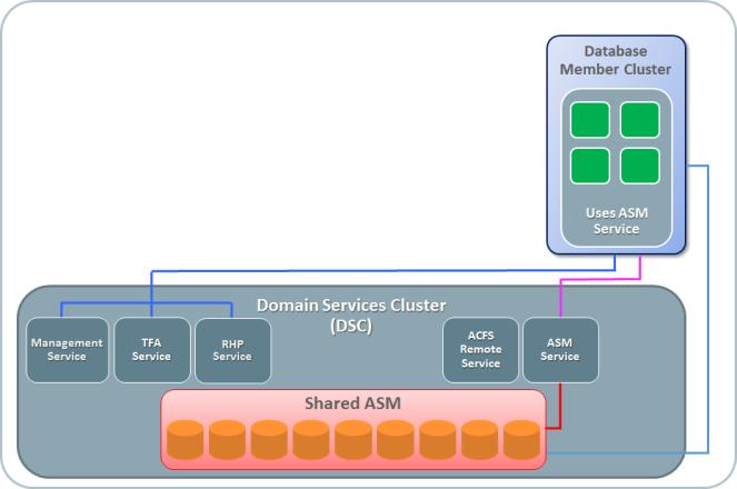 Figure 5: Database Member Cluster with local ASM Database Member Cluster configured with remote ASM There are two alternative architectures for Database Member clusters that subscribe to the Storage