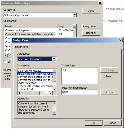 Customized SAS session Setting up shortcut keys Upper and lower case selection Extend selection