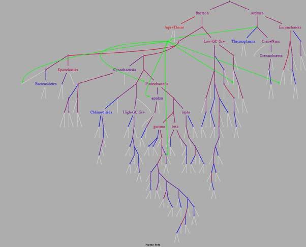 Trees and Hierarchical Structure A tree is an undirected connected acyclic graph A directed tree is a directed