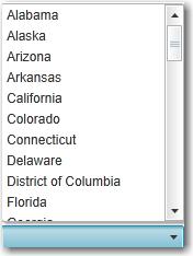 If regions are configured, then the Region field consists of a drop-down list with region codes; otherwise, the Region field consists of a free-form text box.