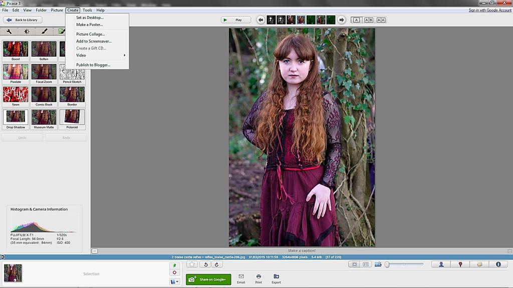 Free Editing Software Picasa from Google The Create menu gives access to the