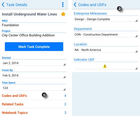 P6 Team Member User's Guide Working with Codes and UDFs Codes and user defined fields (UDFs) are used to provide you with or gather information about a task.