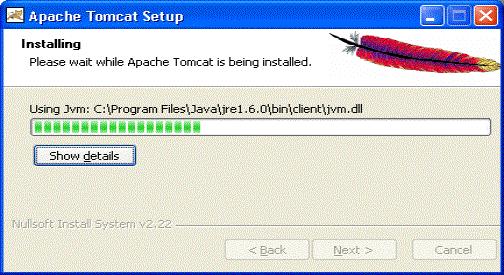 This will install the Apache tomcat at the specified location.