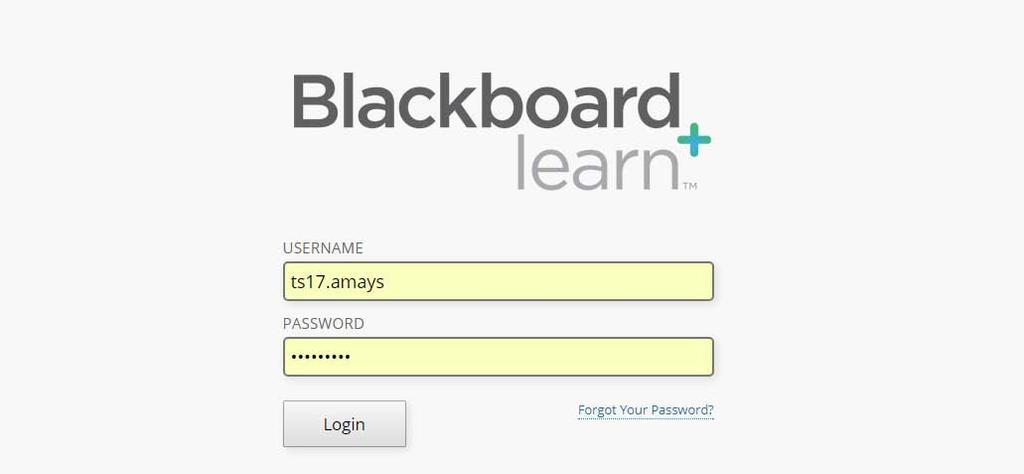 Part I: Logging Into Classroom I.1 Front Page To access your own personal page, please visit: https://theraweb.blackboard.com.