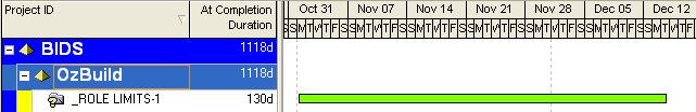 i PLANNING AND CONTROL USING PRIMAVERA P6 TM VERSION 7 - UPDATED 2012 Fiscal Year: When the scale was set to Month/Week on the author s system the Fiscal Year did not display in accordance with date