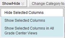 maintains all existing information associated with the column, but prevents it from being seen within the Grade Center by