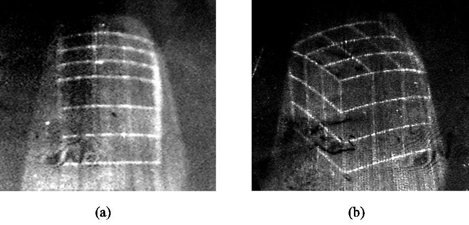 Distortion Correction for Conical Holography Fig. 15. Optically reconstructed image from the conical multiplex hologram. The hologram was fabricated with the 2D distorted objects, shown in Fig.
