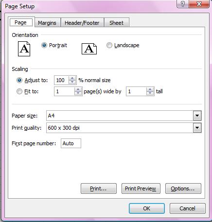 The page setup dialogue box contains four tabs i.e., Page, Margins, Header/Footer and Sheet.