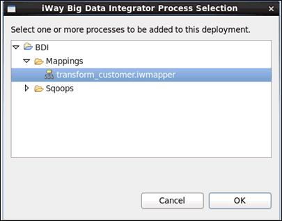 1. iway Big Data Integrator Getting Started Lab Note: To specify the value for the iway Big Data Integrator Processes area, click the green plus sign icon (+), which opens