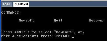 Chapter 4 Server Install 15. When prompted, press <Enter> to select Newsoft. 16. When the Newsoft process completes successfully, the system reboots automatically, and the login screen displays.