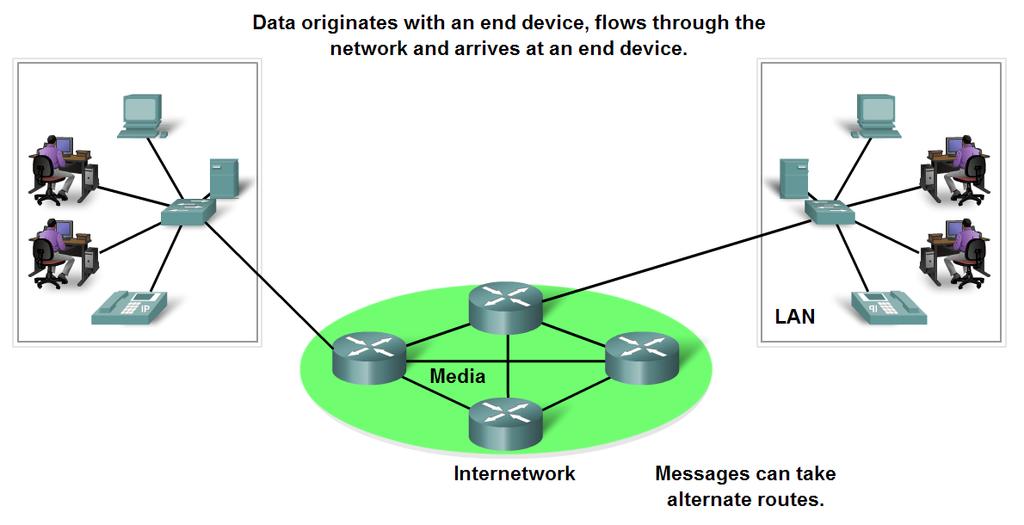 Network Structure End Devices and their Role in the Network End devices are the hosts that initiate communications Role of end devices: Client Request information