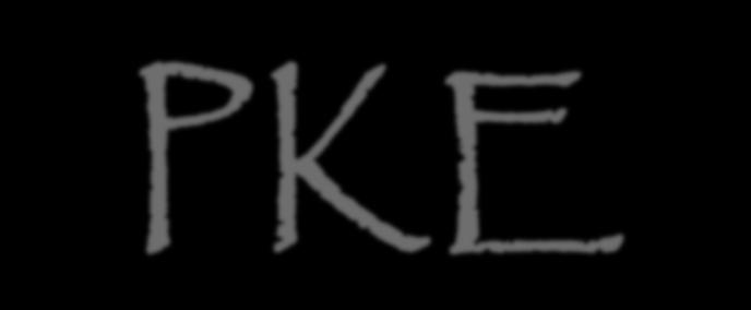 PKE Consulting LLC Business