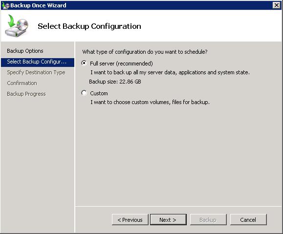 4. Specify the backup options: Select Custom. Figure 99.