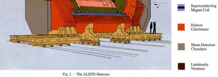 Model confirmed in detail at LEP ALEPH - 400