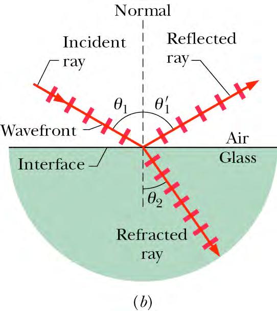 Reflection and refraction When light finds a surface separating two media (air and water, for example), a beam gets reflected and another gets refracted (transmitted).
