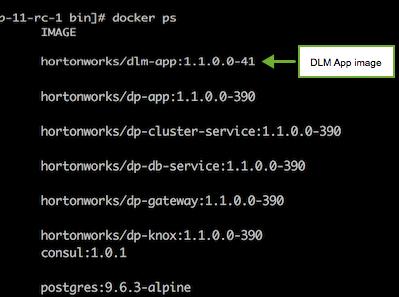 Install the DLM Service App A folder is created that contains the Docker image tarball files and a configuration script. If the yum command fails, then the local repository was not set up correctly.