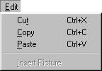 Appendix A MeetingPoint Toolbars and Menus Edit Menu The Edit menu contains options for cutting, copying and pasting text, entries, address books and folders.