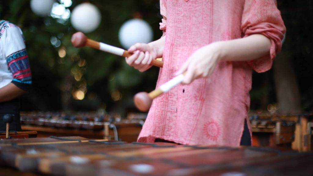 PRIVATE LESSONS Our private lessons are for individual students. These are for anyone who wants a broader Marimba Tuition.