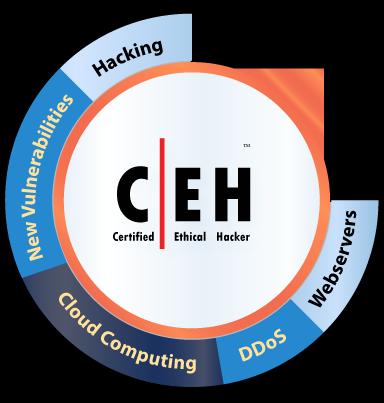 This is the world's most advanced ethical hacking course with 18 of the most current security domains any ethical hacker will ever want to know when they are planning to beef up the information