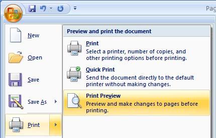 From the submenu displayed select the Print Preview command.
