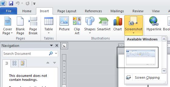 You can now insert a screen shot of the WordPad program window into your Word document.